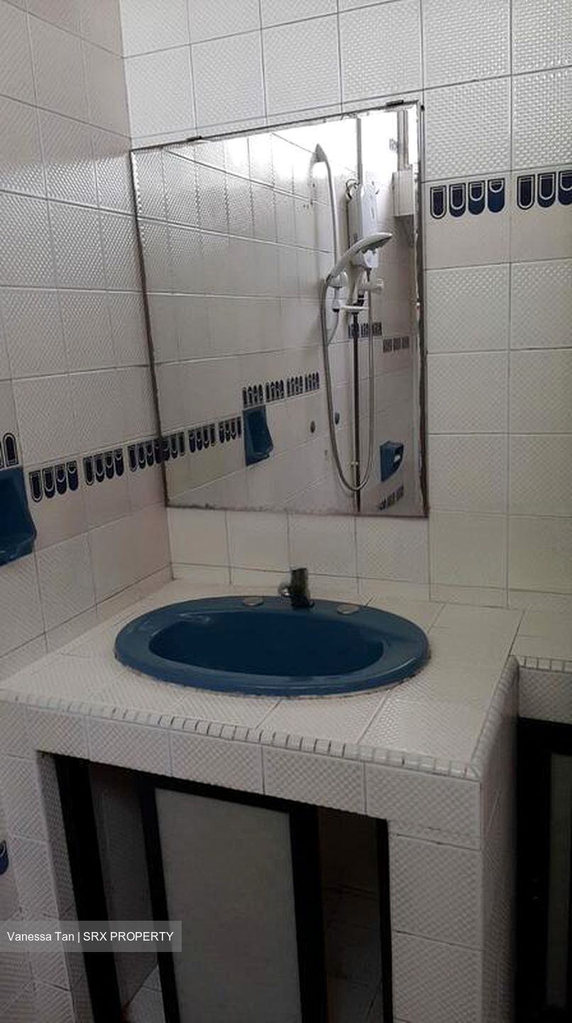Emerald Hill Road (D9), Apartment #483547541